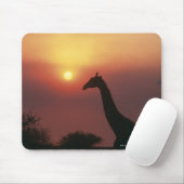Tapis De Souris Silhouette de Giraffe (Giraffa Camelopardalis) (Avec souris)