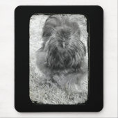 Tapis De Souris Silkie (Devant)
