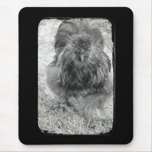 Tapis De Souris Silkie