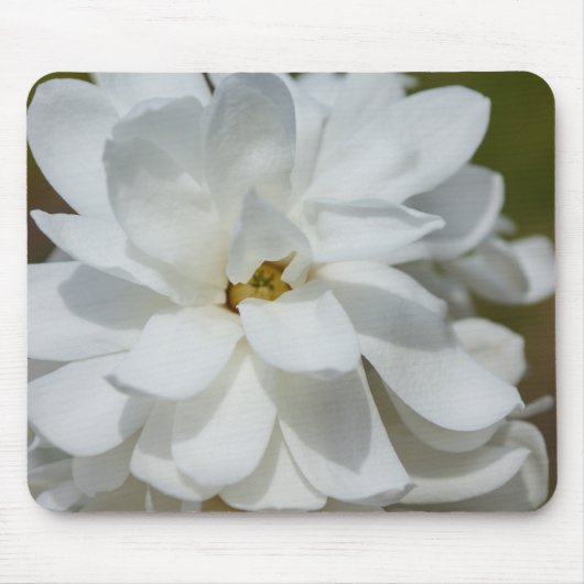 Tapis De Souris Silky Magnolia (Devant)