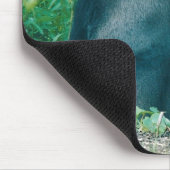 TAPIS DE SOURIS SILVERBACK MOUSEPAD (Coin)