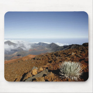 Tapis De Souris Silversword sur le bord du cratère Haleakala de pr
