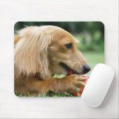 Tapis De Souris Singapour 10 (Avec souris)