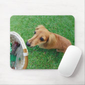 Tapis De Souris Singapour 2 (Avec souris)
