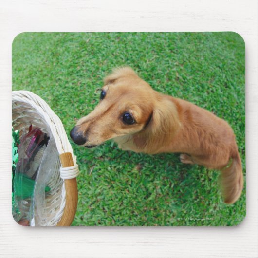 Tapis De Souris Singapour 2 (Devant)