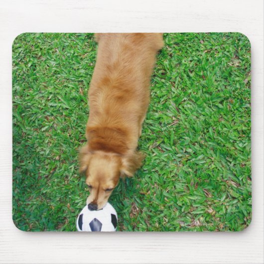 Tapis De Souris Singapour 4 (Devant)