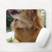 Tapis De Souris Singapour 5 (Avec souris)