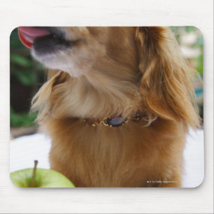 Tapis De Souris Singapour 5