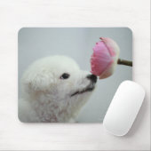 Tapis De Souris Singapour 9 (Avec souris)