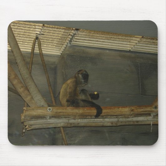 Tapis De Souris singe (Devant)