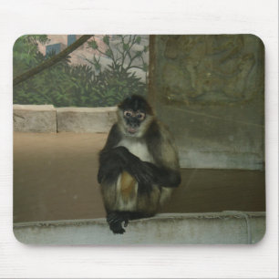 Tapis De Souris Singe assis joliment