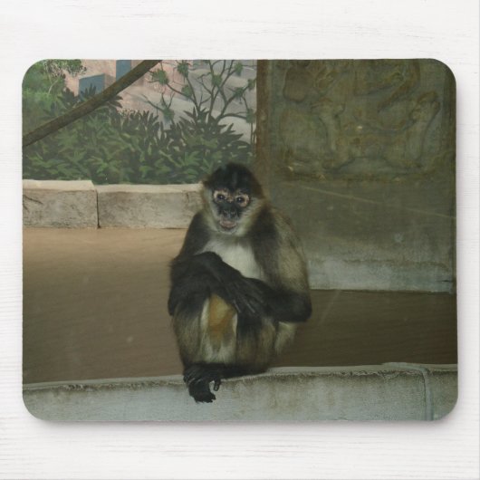 Tapis De Souris Singe assis joliment (Devant)