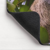 Tapis De Souris Singe bleu, Zanzibar (Coin)