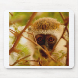 Tapis De Souris Singe Cheeky.