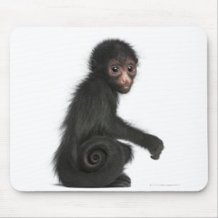 Tapis De Souris Singe d'araignée rougeaud - paniscus d'Ateles (3