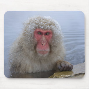 Tapis De Souris Singe des neiges japonais au printemps chaud