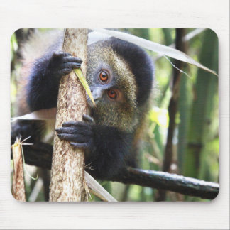 Tapis De Souris Singe d'or dans la jungle africaine