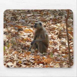 Tapis De Souris Singe en saison sèche