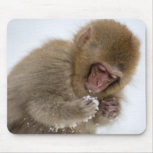 Tapis De Souris Singe japonais de neige du Macaque   de bébé