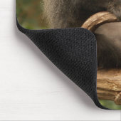 Tapis De Souris Singe Mousepad (Coin)