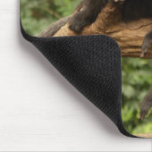 Tapis De Souris Singe Mousepad (Coin)