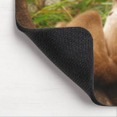 Tapis De Souris Singe Mousepad (Coin)