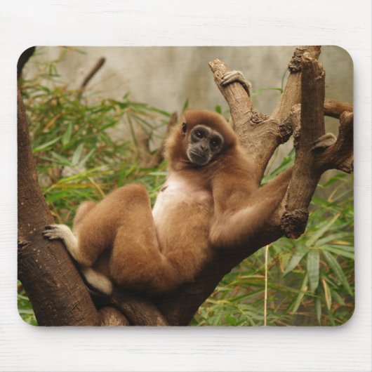 Tapis De Souris Singe Mousepad (Devant)