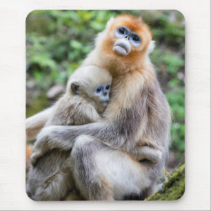 Tapis De Souris Singe roux à nez retroussé avec bébé