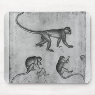 Tapis De Souris Singes, de l'album de Vallardi
