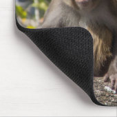 Tapis De Souris Singes de Silver Springs (Coin)