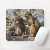 Tapis De Souris Singes de Silver Springs (Avec souris)