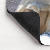 Tapis De Souris Singes et babouins de Noël (Coin)
