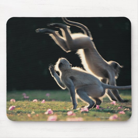 Tapis De Souris Singes jouant (Devant)