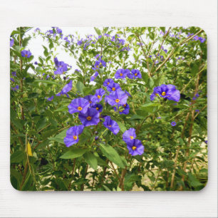 Tapis De Souris Sisyrinchium Angustifolium Mouse