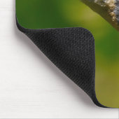 Tapis De Souris Sittelle (Coin)