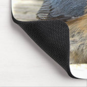 Tapis De Souris Sittelle à gorge rouge (Coin)