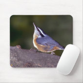 Tapis De Souris Sittelle à gorge rouge sur la branche (Avec souris)