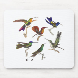 Tapis De Souris Six colibris colorés