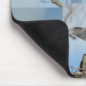 Tapis De Souris Six photos Mousepad d'oiseau de balbuzard (Coin)