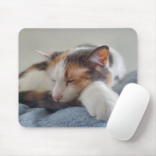 Tapis De Souris Sleeping calico (Avec souris)