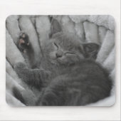 Tapis De Souris Sleepy kitty (Devant)