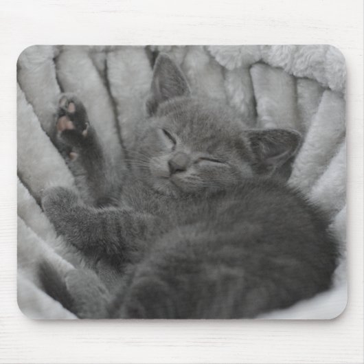 Tapis De Souris Sleepy kitty (Devant)