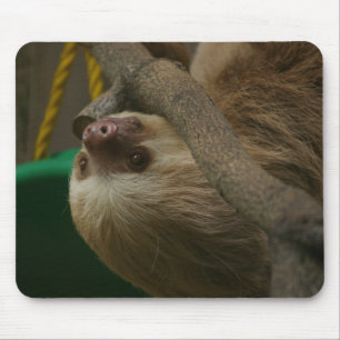Tapis De Souris Sloth
