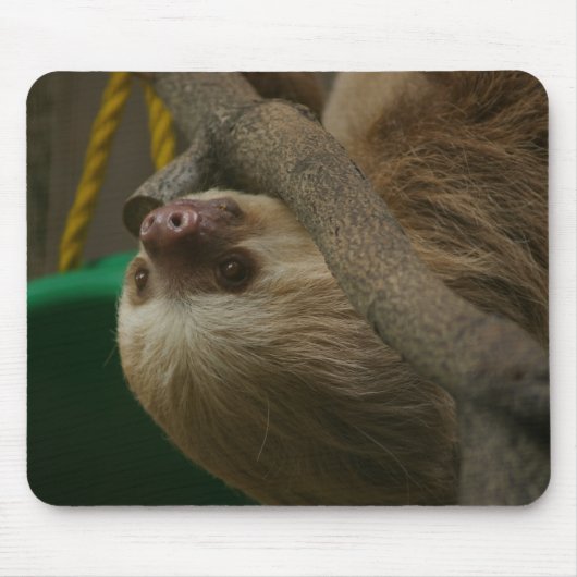 Tapis De Souris Sloth (Devant)
