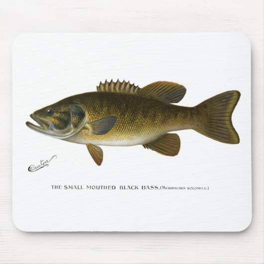 Tapis De Souris Smallmouth bass (Devant)