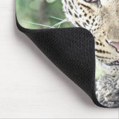 Tapis De Souris smartmix animal léopard 2 (Coin)