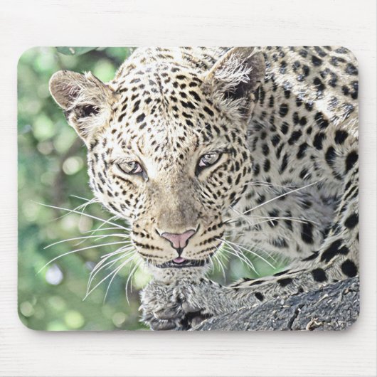Tapis De Souris smartmix animal léopard 2 (Devant)