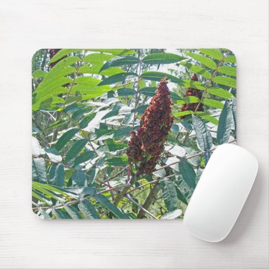 Tapis De Souris Smooth Sumac Berries (Avec souris)