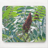 Tapis De Souris Smooth Sumac Berries (Devant)