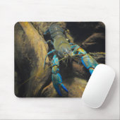 Tapis De Souris Smooth Yabby (Avec souris)